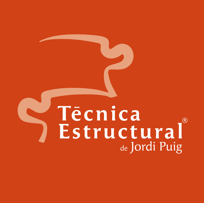 Logotipo oficial de Técnica Estructural de Jordi Puig
