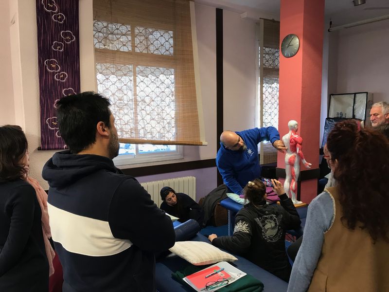 Clase práctica de tuina con modelo anatómico